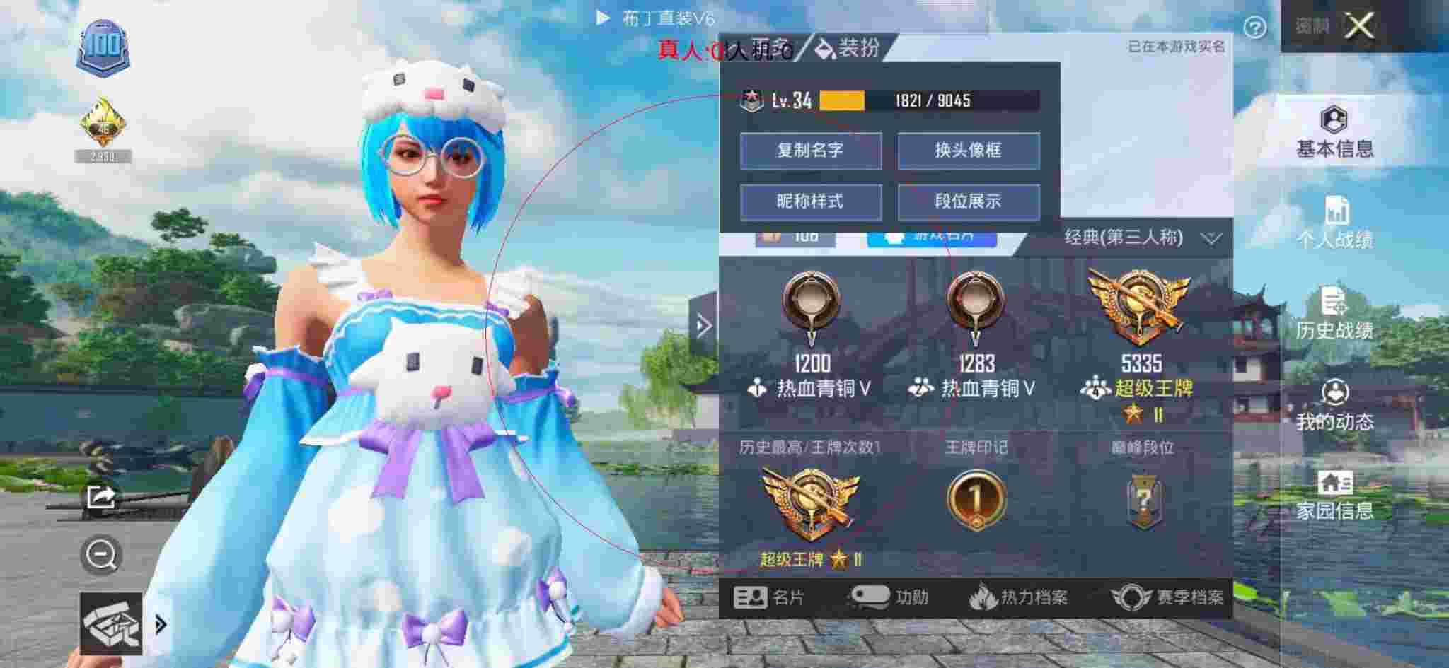 和平精英布丁直装透视 - 和平精英-和平辅助卡通手绘图片高清辅助预览图
